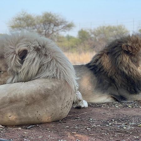 Lephalale Simba Safaris African Pride Exotic Lodge מראה חיצוני תמונה