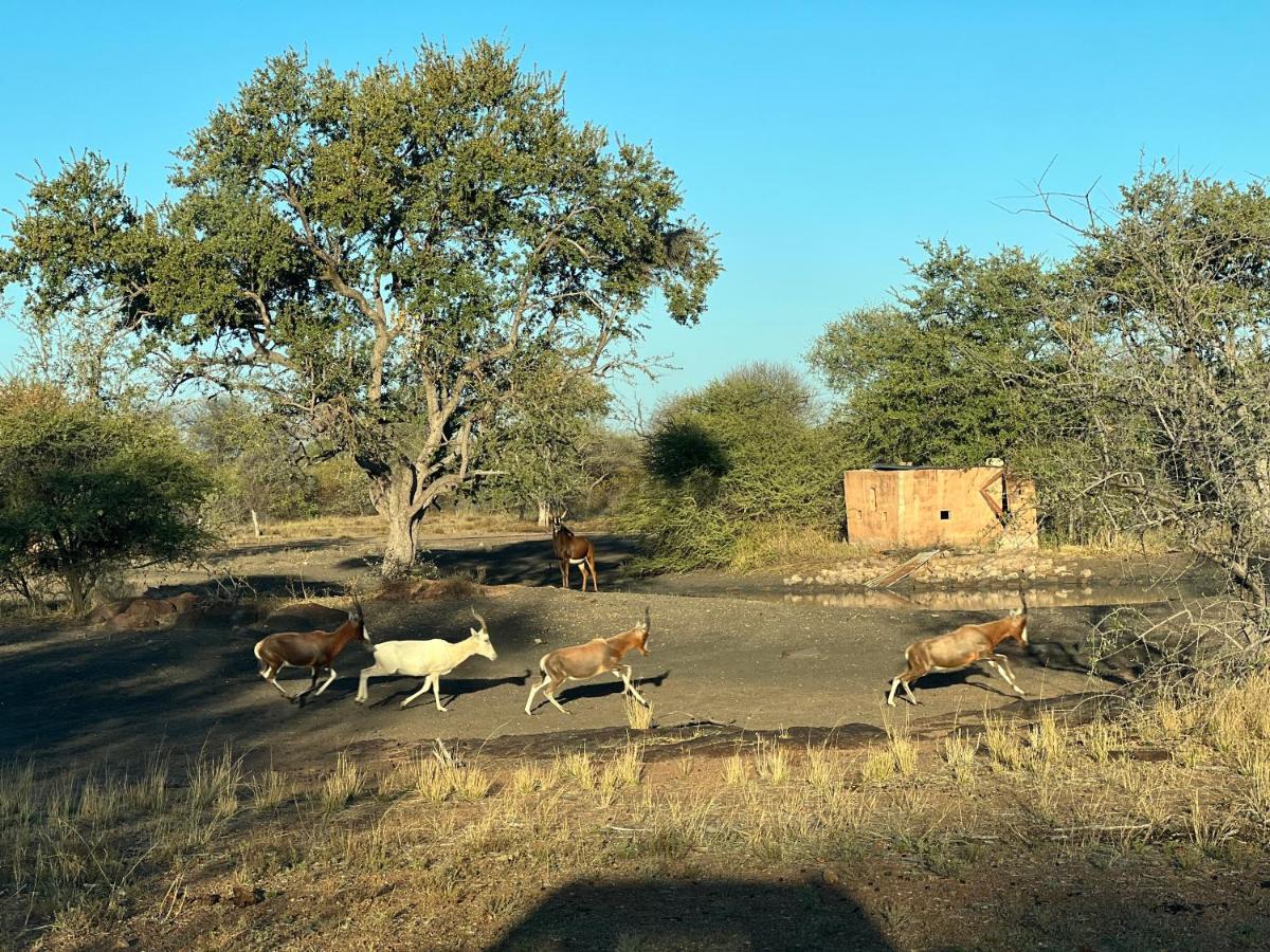 Lephalale Simba Safaris African Pride Exotic Lodge מראה חיצוני תמונה