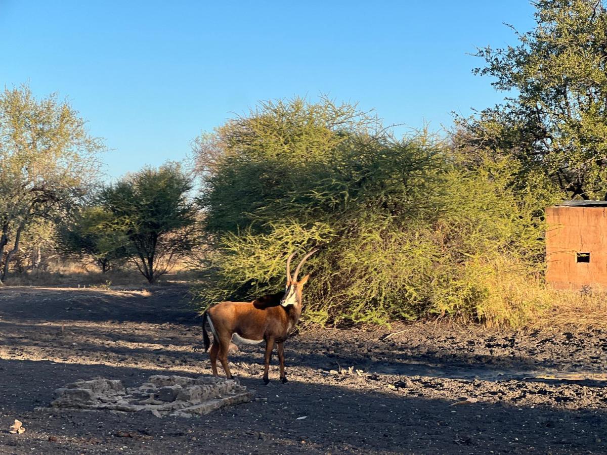 Lephalale Simba Safaris African Pride Exotic Lodge מראה חיצוני תמונה