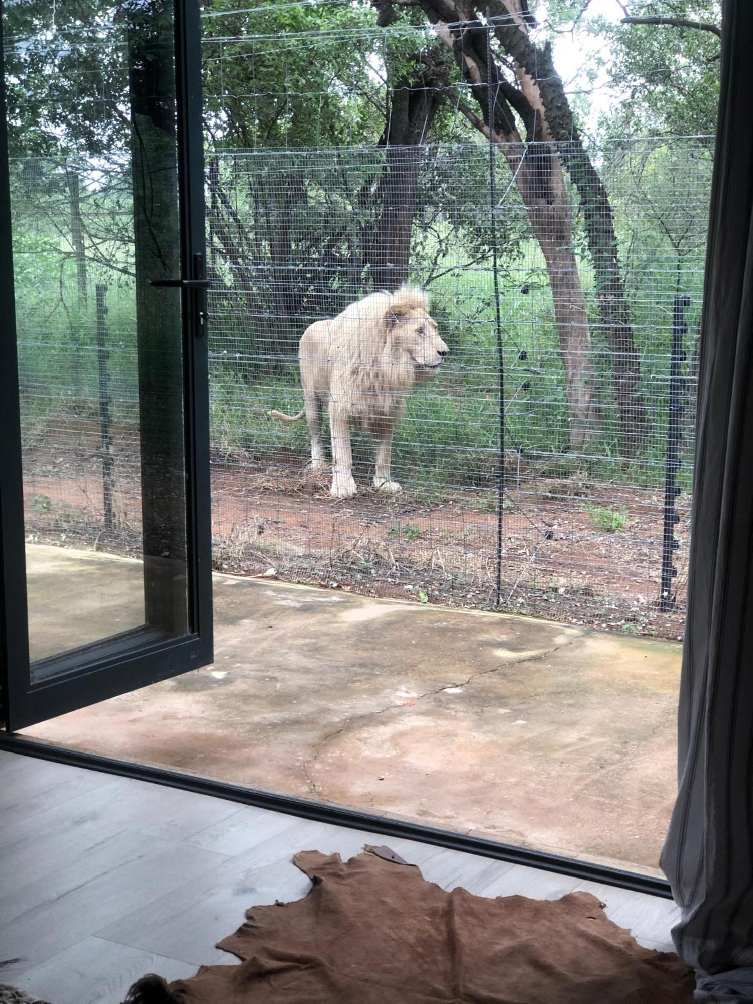 Lephalale Simba Safaris African Pride Exotic Lodge מראה חיצוני תמונה