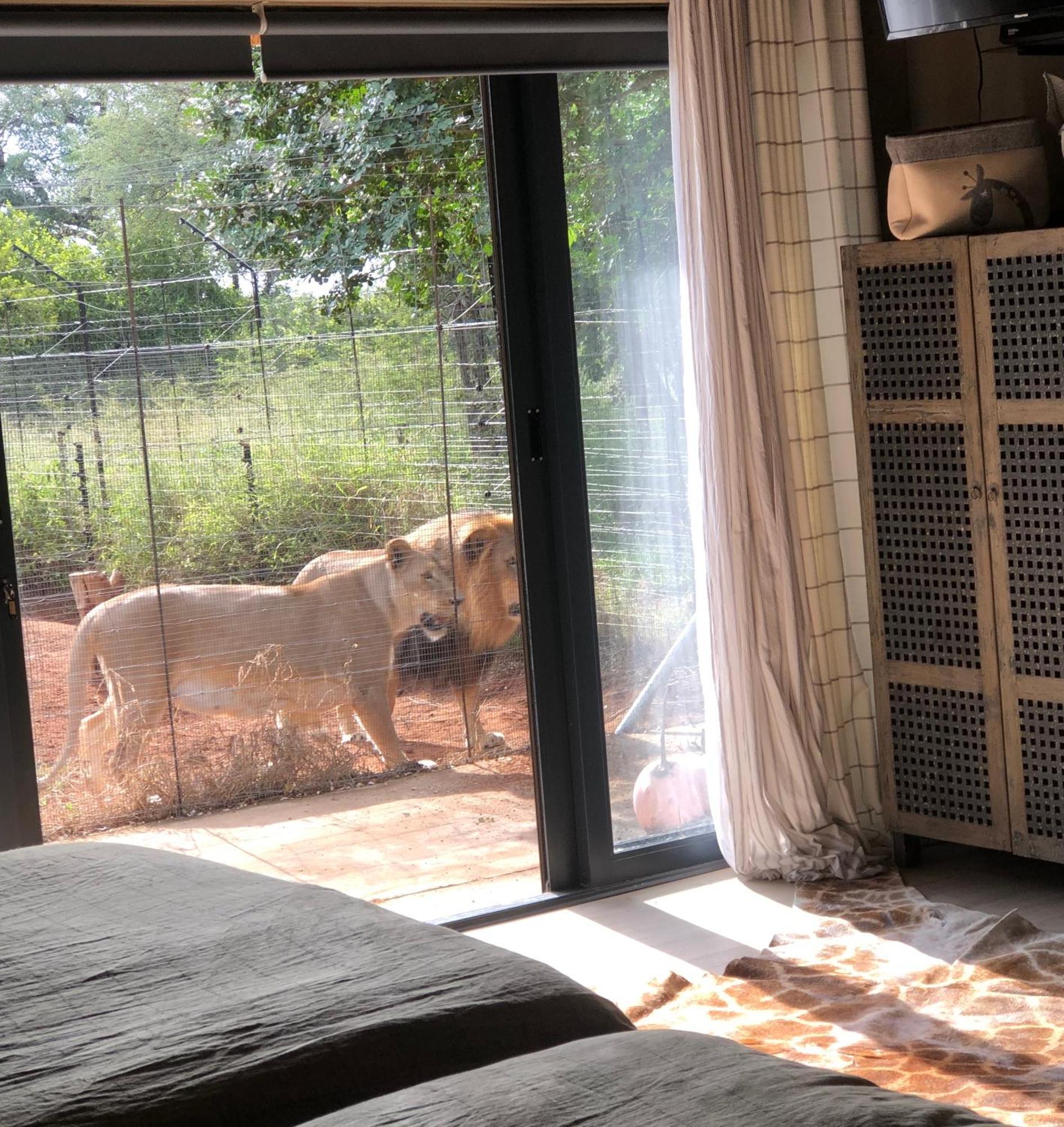 Lephalale Simba Safaris African Pride Exotic Lodge מראה חיצוני תמונה