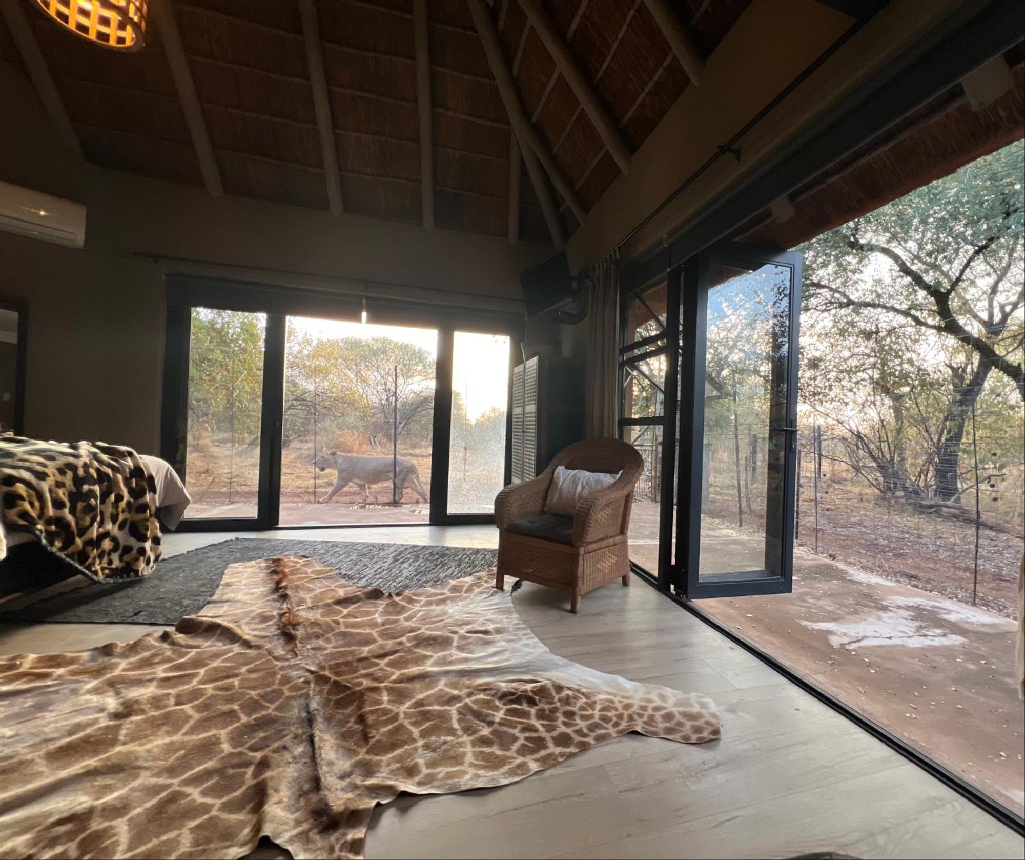 Lephalale Simba Safaris African Pride Exotic Lodge מראה חיצוני תמונה