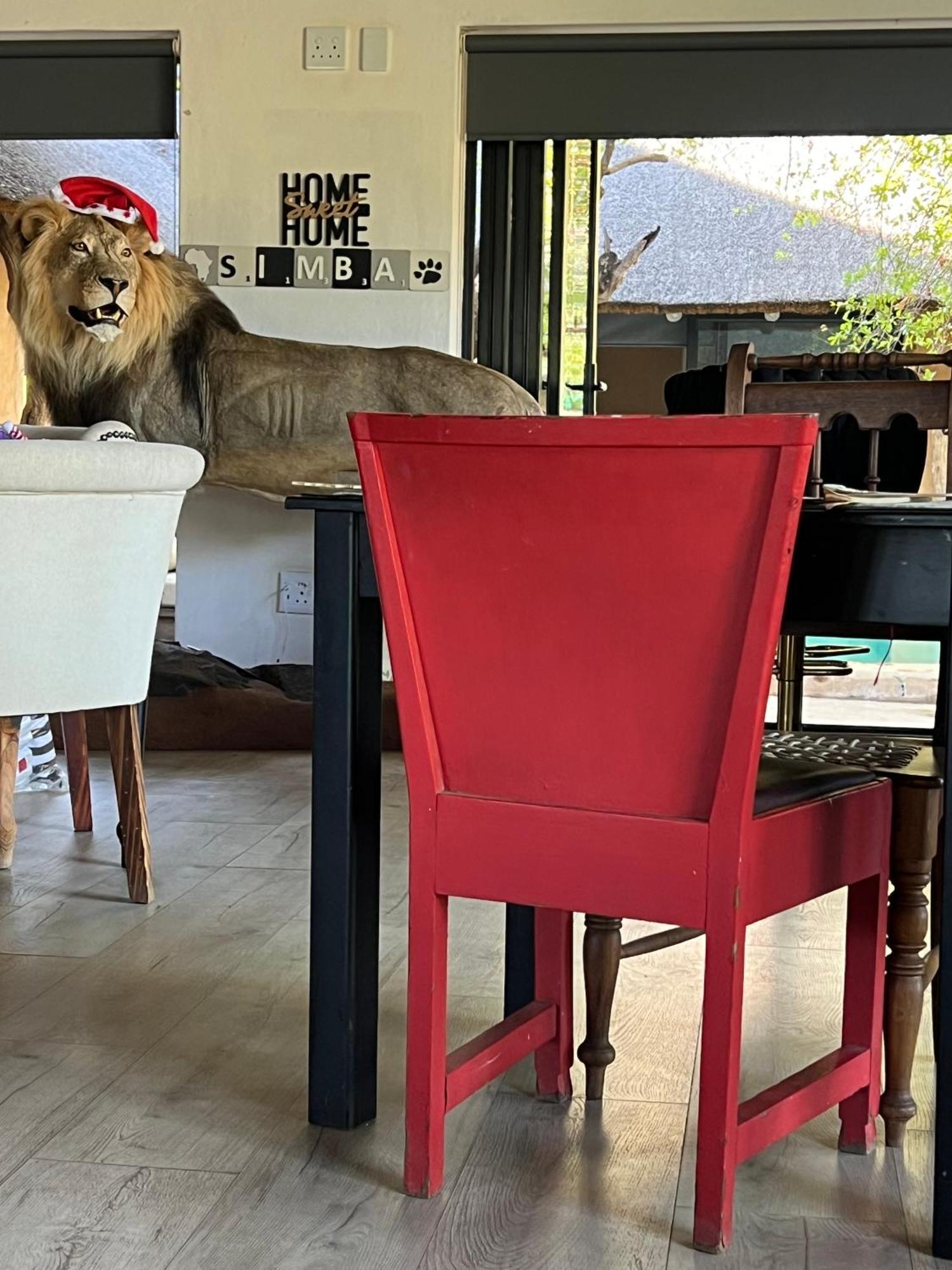 Lephalale Simba Safaris African Pride Exotic Lodge מראה חיצוני תמונה