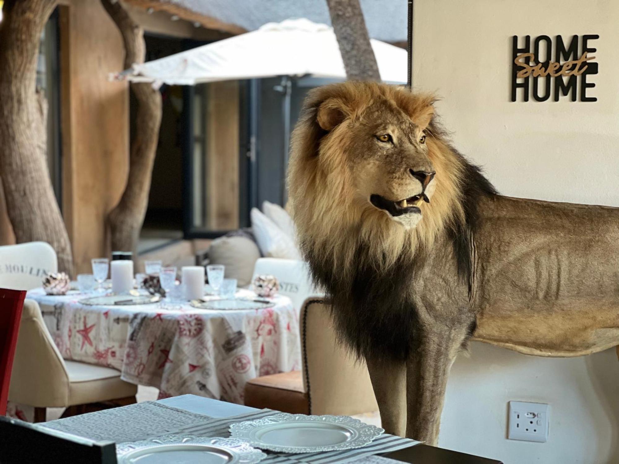 Lephalale Simba Safaris African Pride Exotic Lodge מראה חיצוני תמונה