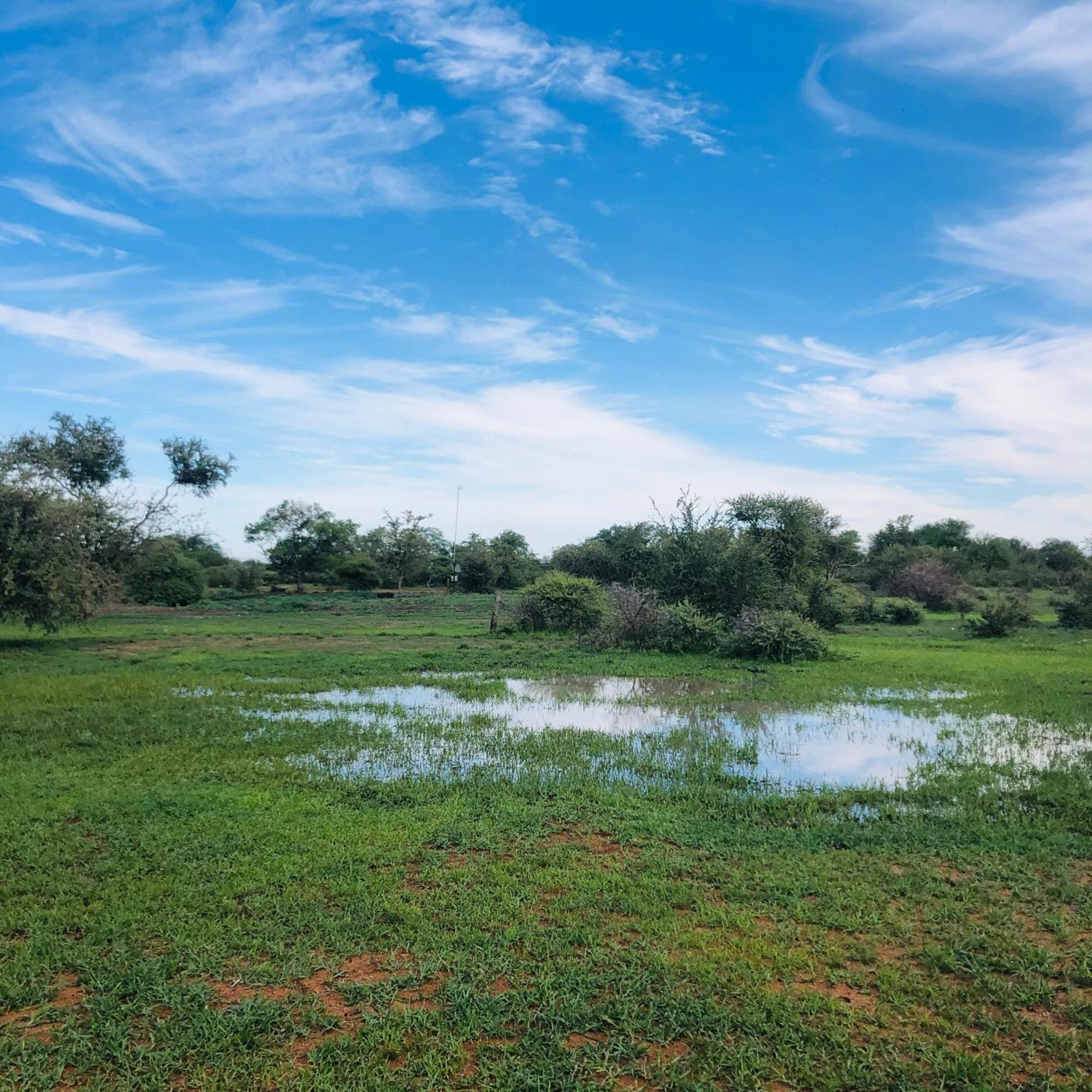 Lephalale Simba Safaris African Pride Exotic Lodge מראה חיצוני תמונה
